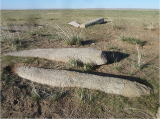 Түрэгийн үеийн түүхийн ховор цогцолбор дурсгалын хөшөө олджээ